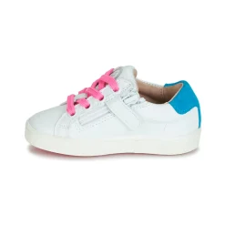 Acebo's - STARWAY