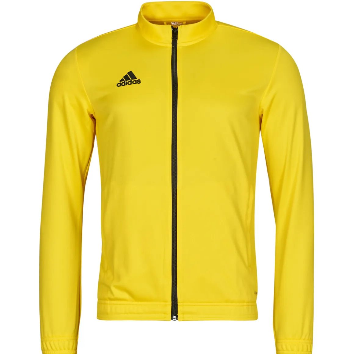 adidas Performance - HI2134
