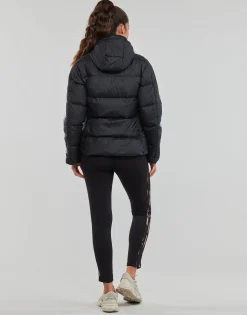 Adidas Sportswear - ESS M D HO J