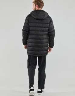 Adidas Sportswear - ESS 3S L D H PA
