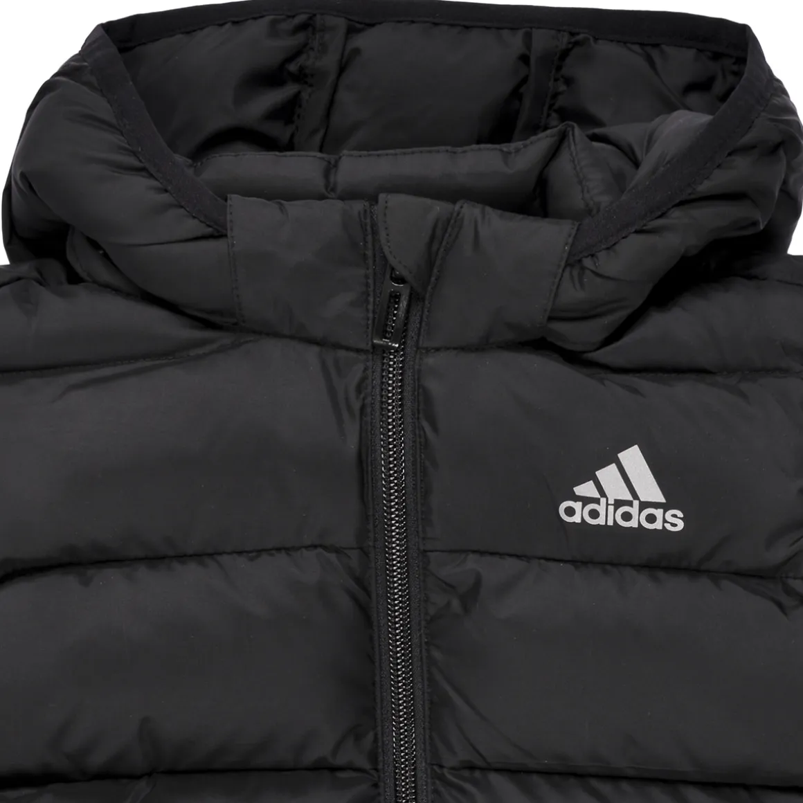 Adidas Sportswear - Synthetic Down Jacket