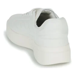 Adidas Sportswear - ZNTASY