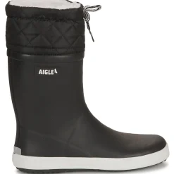 Aigle - GIBOULEE