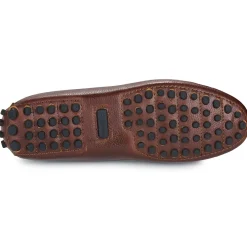 Barbour - LAIRE