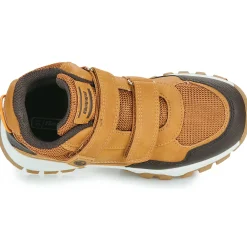 BEPPI - 2202041-CAMEL