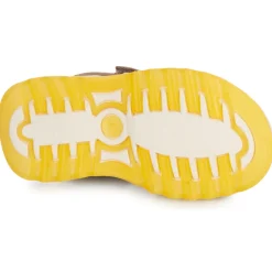 Bisgaard - CACO