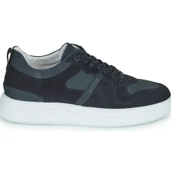 Blackstone - WG70
