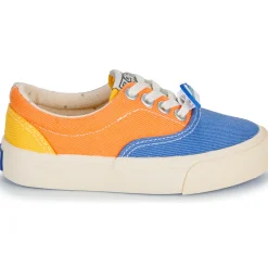 Bonton - SKATE ELAST