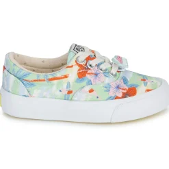 Bonton - SKATE ELAST