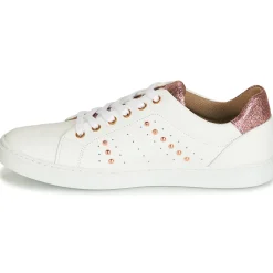 Bullboxer - AGM008