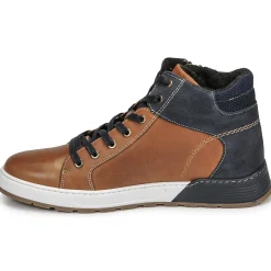 Bullboxer - AOF506COGN