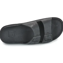Cacatoès - TULIPA