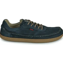 CallagHan -