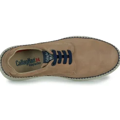 CallagHan - 53505.2