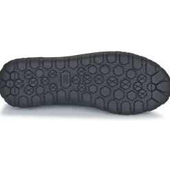 Caterpillar - HEX + CANVAS