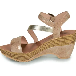Chattawak - MAELLE