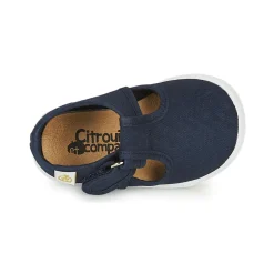 Citrouille et Compagnie - MATITO
