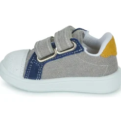 Citrouille et Compagnie - TIM CLODY