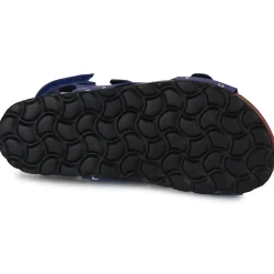 Citrouille et Compagnie - TOTIS
