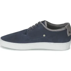 CK Collection - CUSTO