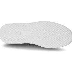 CK Collection - CUSTO