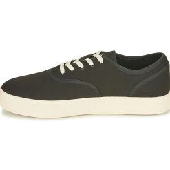 Clae - AUGUST