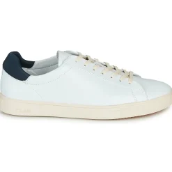 Clae - BRADLEY