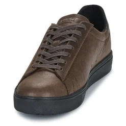 Clae - BRADLEY