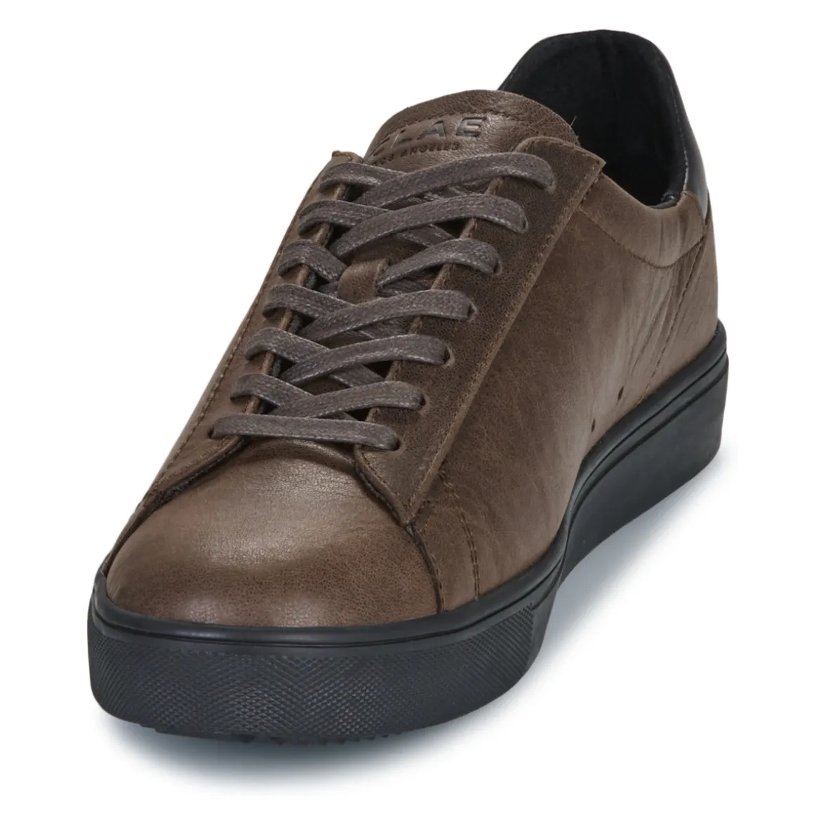 Clae - BRADLEY