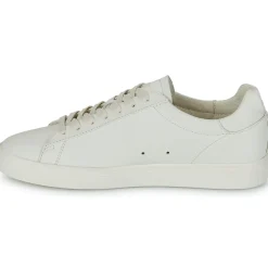 Clae - BRADLEY