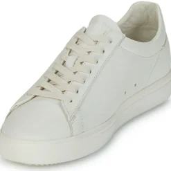 Clae - BRADLEY