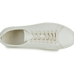 Clae - BRADLEY