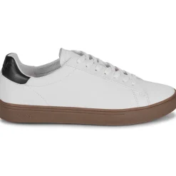 Clae - BRADLEY