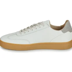 Clae - DEANE