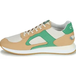 Clae - EDSON
