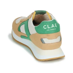 Clae - EDSON