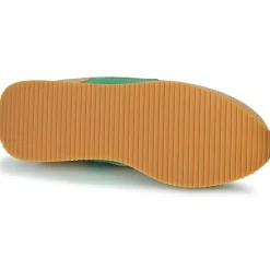 Clae - EDSON