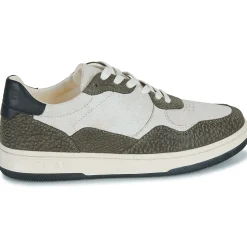 Clae - ELFORD