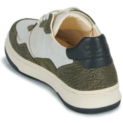 Clae - ELFORD