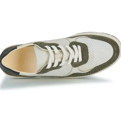 Clae - ELFORD