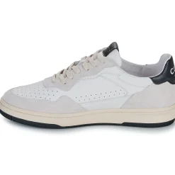 Clae - HAYWOOD
