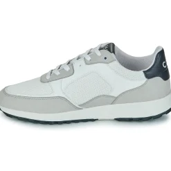 Clae - JOSHUA