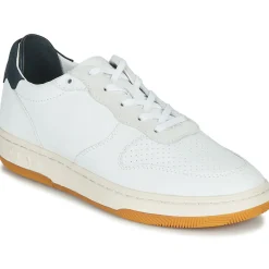 Clae - MALONE