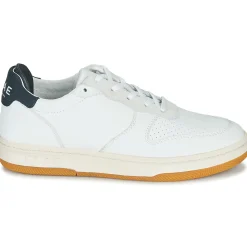Clae - MALONE