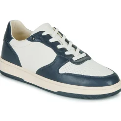Clae - MALONE