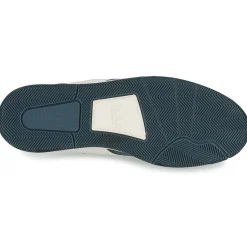 Clae - MALONE