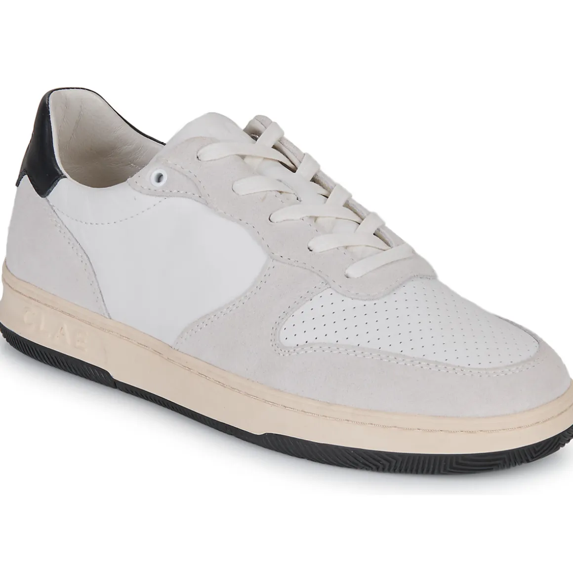 Clae - MALONE