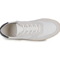 Clae - MALONE