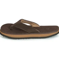 Cool shoe - 2LUXE