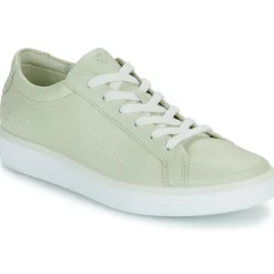 Ecco - 219203-01579